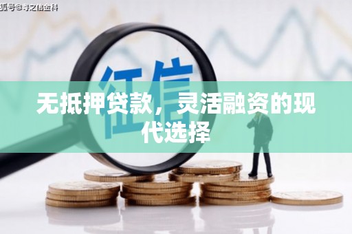 庐阳无抵押贷款，灵活融资的现代选择