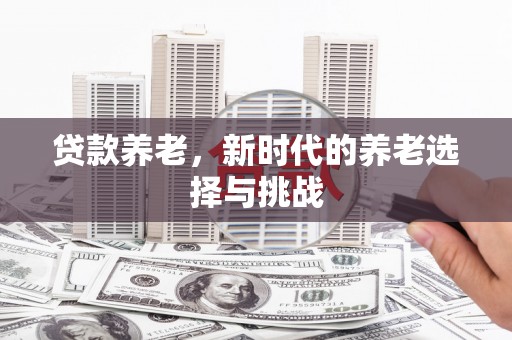 庐阳贷款养老，新时代的养老选择与挑战