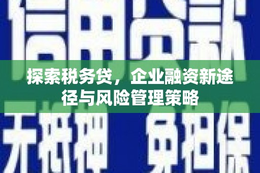 庐阳探索税务贷，企业融资新途径与风险管理策略