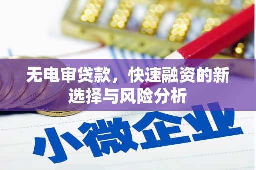 庐阳无电审贷款，快速融资的新选择与风险分析