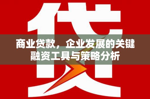 庐阳商业贷款，企业发展的关键融资工具与策略分析