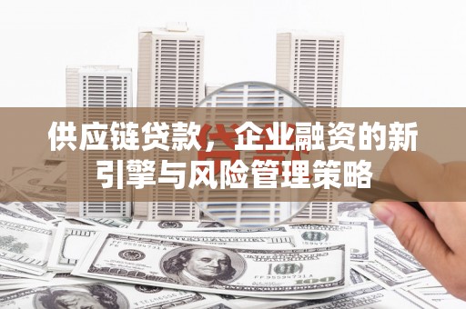 庐阳供应链贷款，企业融资的新引擎与风险管理策略