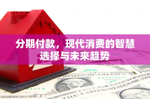 庐阳分期付款，现代消费的智慧选择与未来趋势