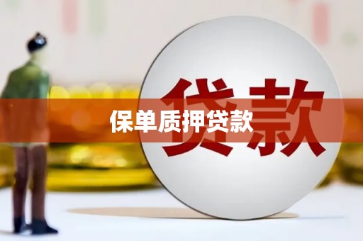 庐阳保单质押贷款