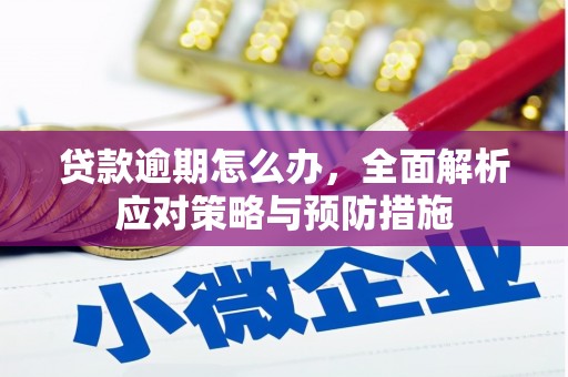庐阳贷款逾期怎么办，全面解析应对策略与预防措施