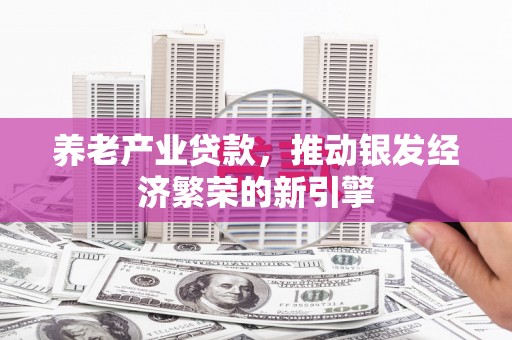 庐阳养老产业贷款，推动银发经济繁荣的新引擎