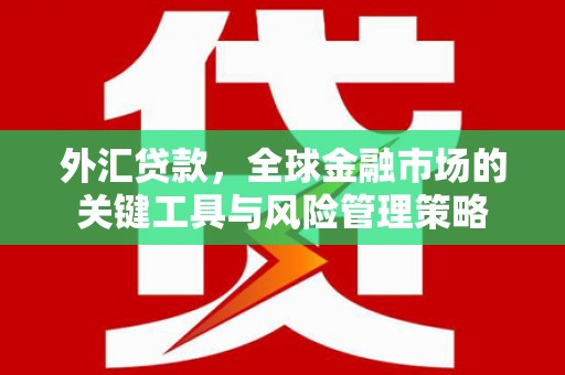庐阳外汇贷款，全球金融市场的关键工具与风险管理策略