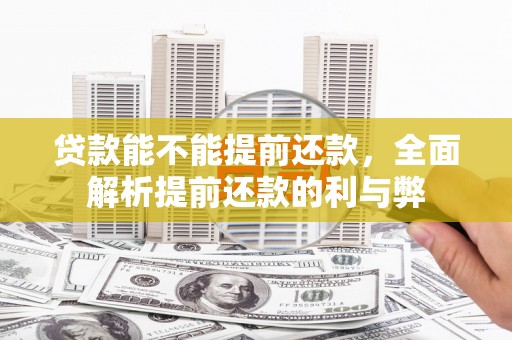 庐阳贷款能不能提前还款，全面解析提前还款的利与弊