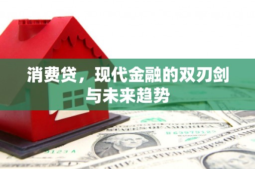 庐阳消费贷，现代金融的双刃剑与未来趋势