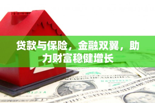 庐阳贷款与保险，金融双翼，助力财富稳健增长