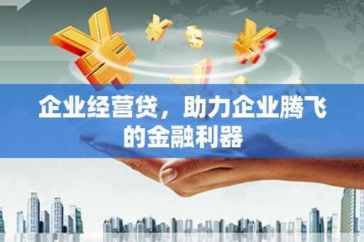 庐阳企业经营贷，助力企业腾飞的金融利器