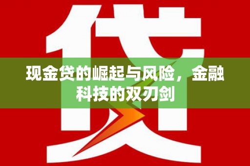 庐阳现金贷的崛起与风险，金融科技的双刃剑