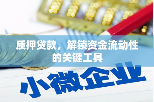 庐阳质押贷款，解锁资金流动性的关键工具