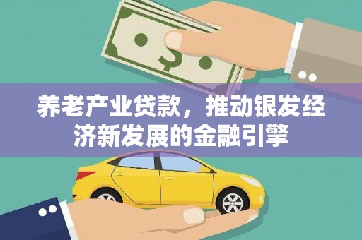 庐阳养老产业贷款，推动银发经济新发展的金融引擎