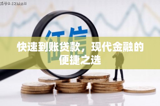庐阳快速到账贷款，现代金融的便捷之选