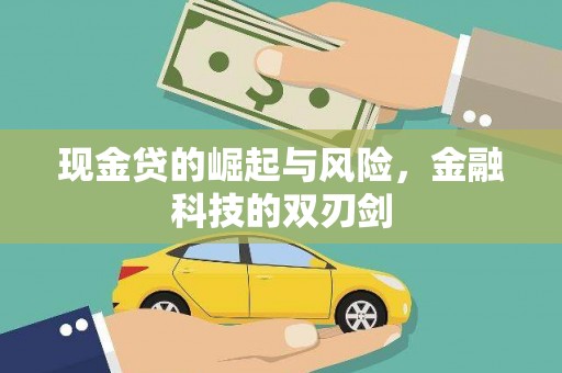 庐阳现金贷的崛起与风险，金融科技的双刃剑