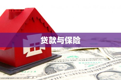 庐阳贷款与保险