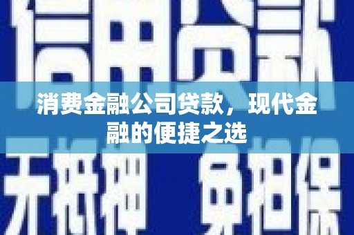 庐阳消费金融公司贷款，现代金融的便捷之选