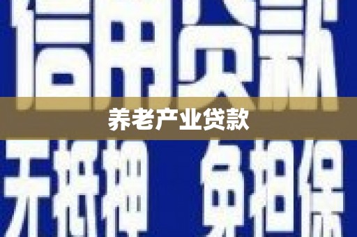 庐阳养老产业贷款