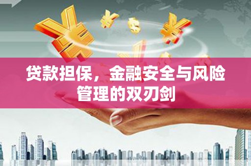 庐阳贷款担保，金融安全与风险管理的双刃剑