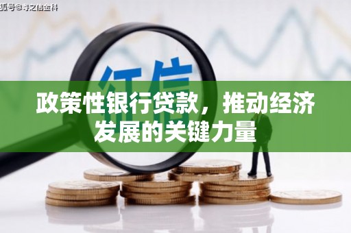 庐阳政策性银行贷款，推动经济发展的关键力量