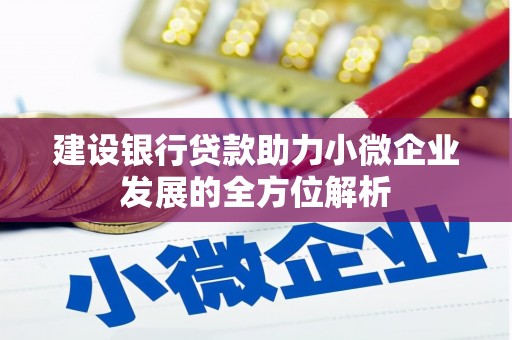 庐阳建设银行贷款助力小微企业发展的全方位解析
