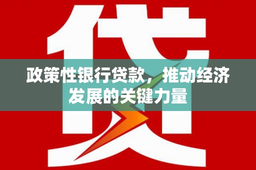 庐阳政策性银行贷款，推动经济发展的关键力量