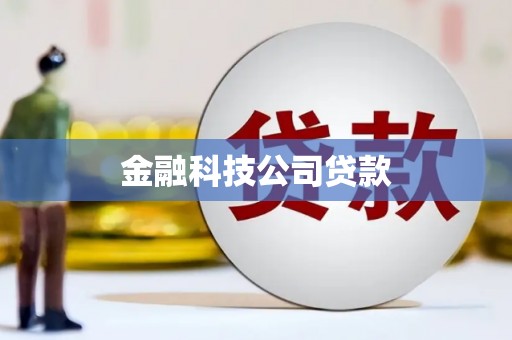 庐阳金融科技公司贷款