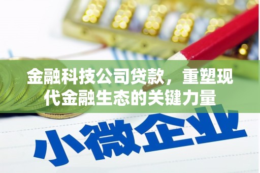 庐阳金融科技公司贷款，重塑现代金融生态的关键力量
