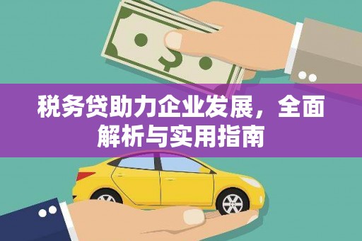 庐阳税务贷助力企业发展，全面解析与实用指南