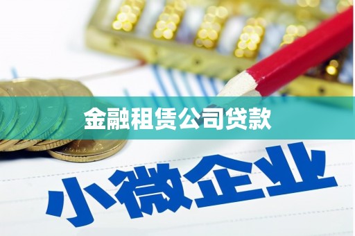 庐阳金融租赁公司贷款