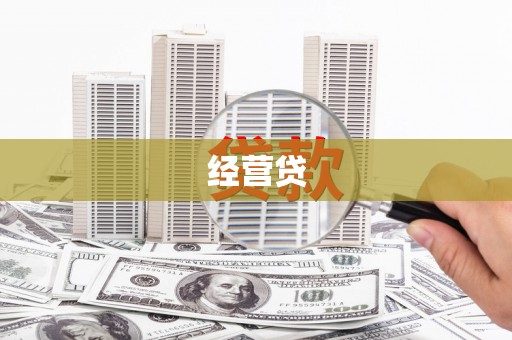 庐阳经营贷