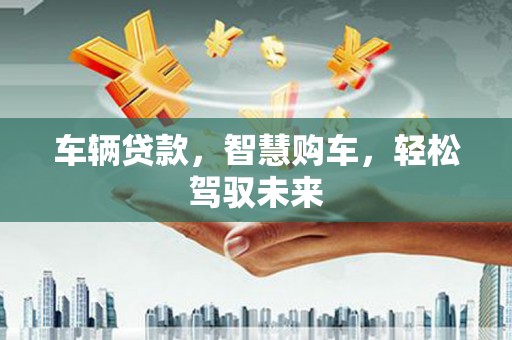 庐阳车辆贷款，智慧购车，轻松驾驭未来