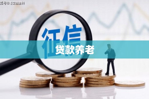 庐阳贷款养老