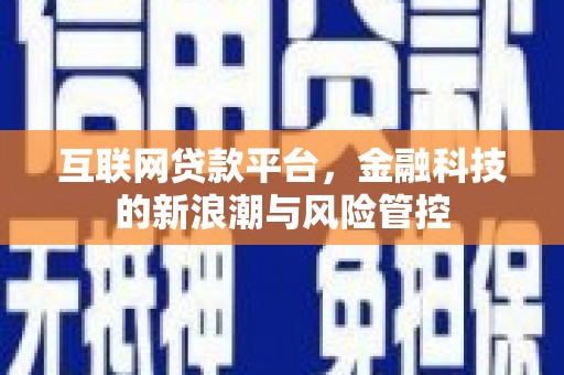 庐阳互联网贷款平台，金融科技的新浪潮与风险管控