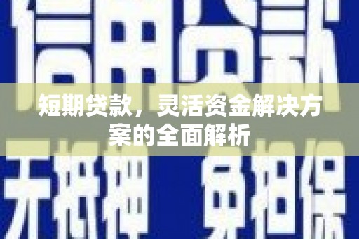 庐阳短期贷款，灵活资金解决方案的全面解析