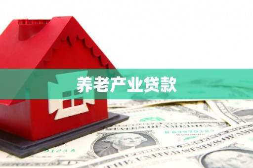 庐阳养老产业贷款