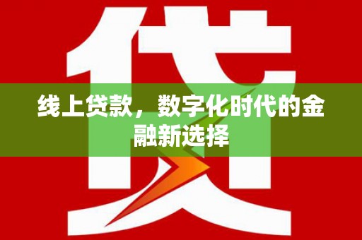 庐阳线上贷款，数字化时代的金融新选择