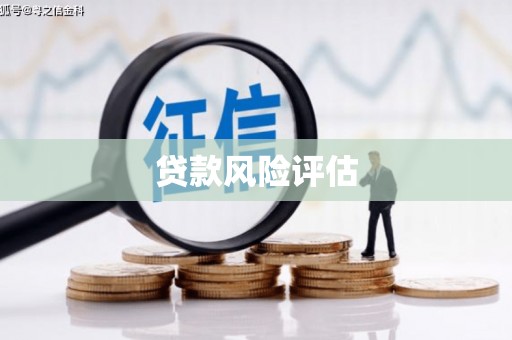 庐阳贷款风险评估