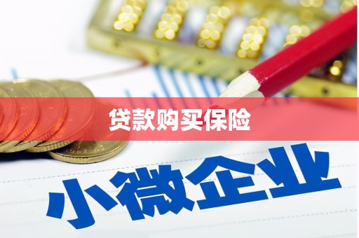 庐阳贷款购买保险