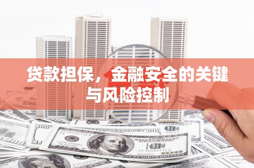 庐阳贷款担保，金融安全的关键与风险控制