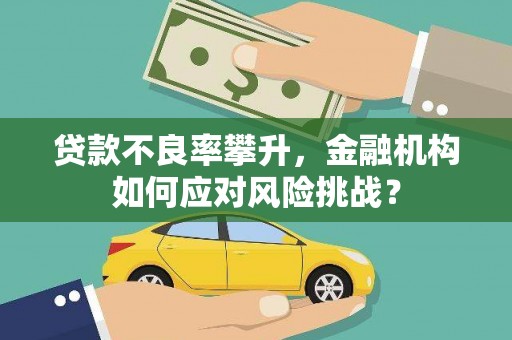 庐阳贷款不良率攀升，金融机构如何应对风险挑战？