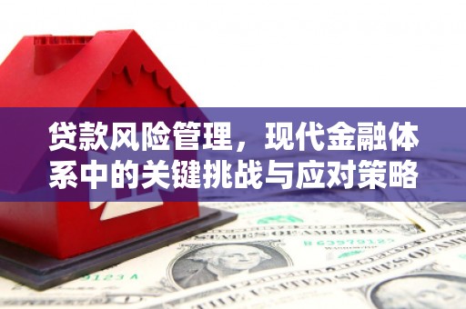 庐阳贷款风险管理，现代金融体系中的关键挑战与应对策略