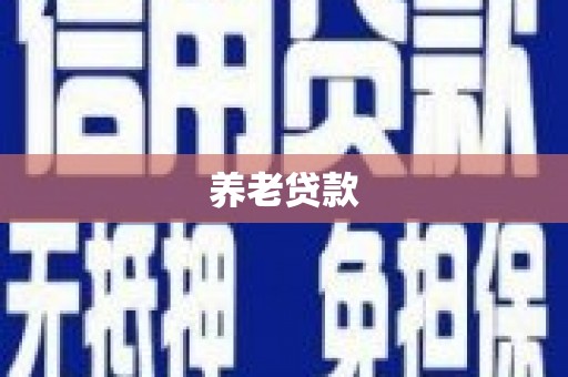 庐阳养老贷款