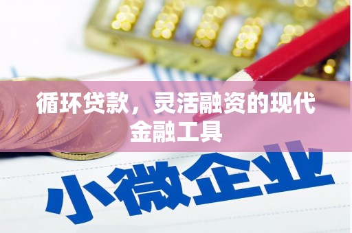 庐阳循环贷款，灵活融资的现代金融工具