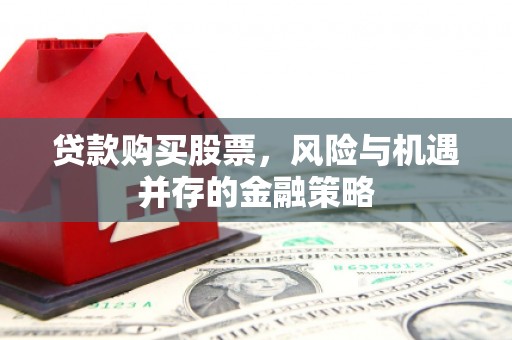 庐阳贷款购买股票，风险与机遇并存的金融策略