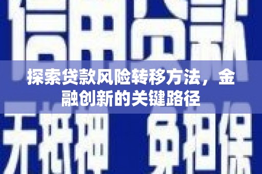 庐阳探索贷款风险转移方法，金融创新的关键路径