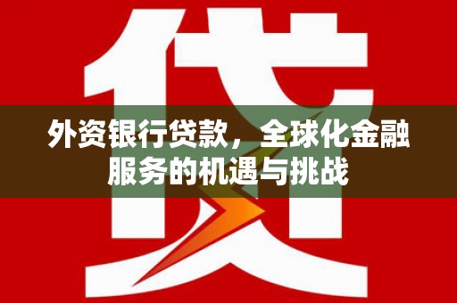 庐阳外资银行贷款，全球化金融服务的机遇与挑战