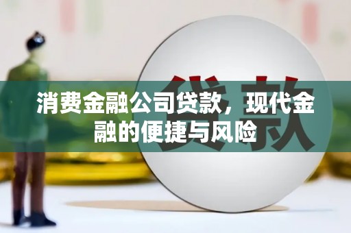 庐阳消费金融公司贷款，现代金融的便捷与风险