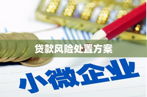 庐阳贷款风险处置方案